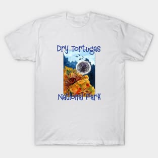 Underwater at Dry Tortugas National Park T-Shirt